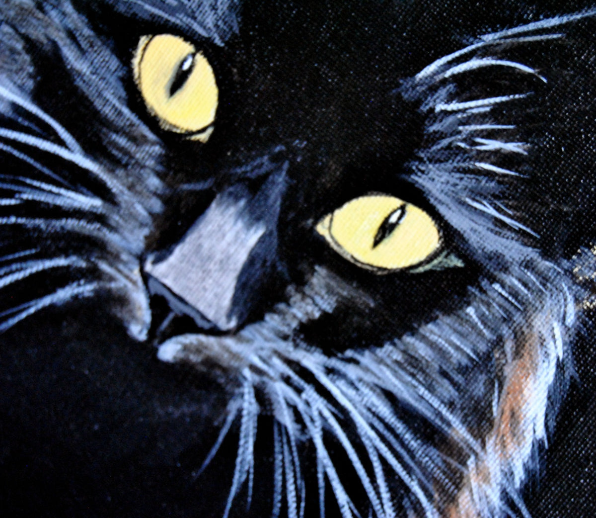 Cuadro original con gato